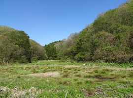 急増する耕作放棄地