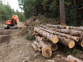 農地や⼭林の買収
